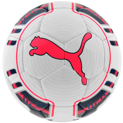 Piłka nożna Puma Evo Power Futsal 082235 15