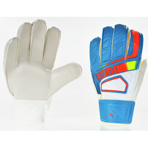 RĘKAWICE BRAMKARSKIE PUMA EVO SPEED 6.2 /40961 03