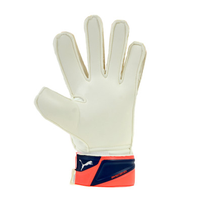 RĘKAWICE BRAMKARSKIE PUMA EVO POWER GRIP 3 RC /40982 30