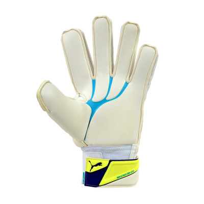 Rękawice bramkarskie Puma Evo Power Grip 1 biało-żółte 041054 04