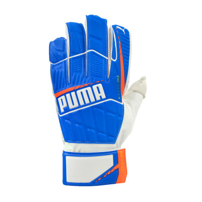 RĘKAWICE BRAMKARSKIE PUMA EVO SPEED 5.4 /41171 02