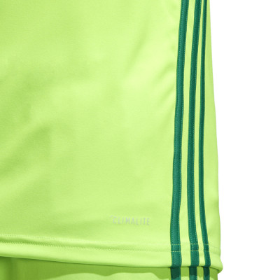 Koszulka męska adidas Regista 18 Jersey zielona CE8973