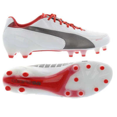 Buty piłkarskie Puma Evo Speed 1.2 FG 102859 03