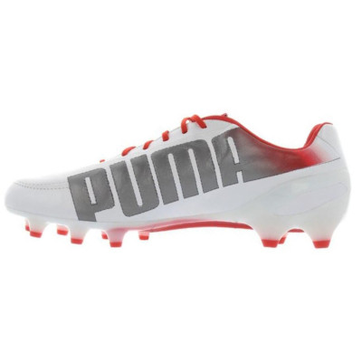 Buty piłkarskie Puma Evo Speed 1.2 FG 102859 03