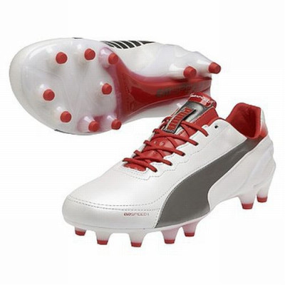 Buty piłkarskie Puma Evo Speed 1.2 FG 102859 03