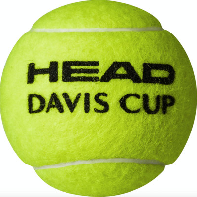 Piłki do tenisa ziemnego Head Davis Cup 3 szt