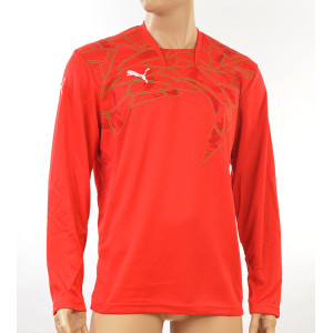 BLUZA BRAMKARSKA PUMA GRAPHIC GK czerwona /700399 03