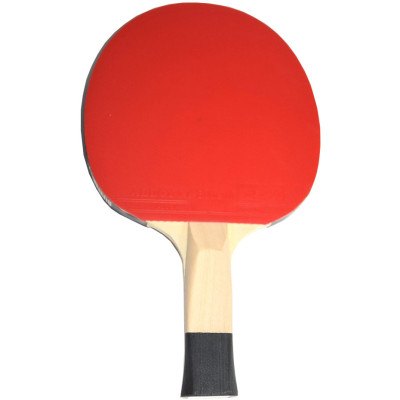 Rakietka do ping ponga Butterfly Timo Boll SG11 85012