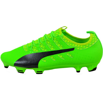 Buty piłkarskie Puma Evo Power Vigor 2 FG 103954 01